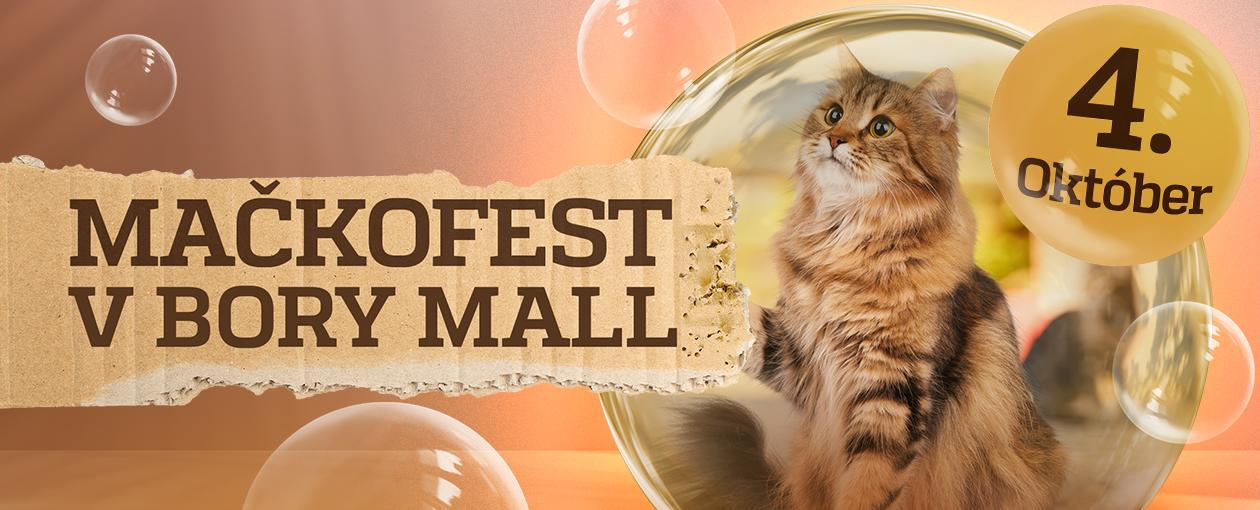 CAT FEST IN BORY MALL – ilustračný obrázok udalosti