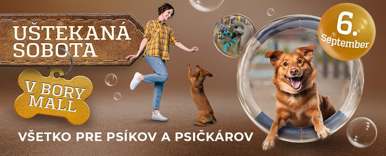 DOG DAY IN BORY MALL – ilustračný obrázok udalosti