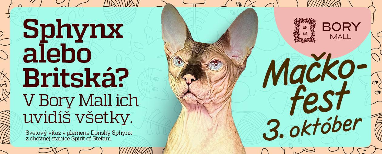 Mačkofest – ilustračný obrázok udalosti